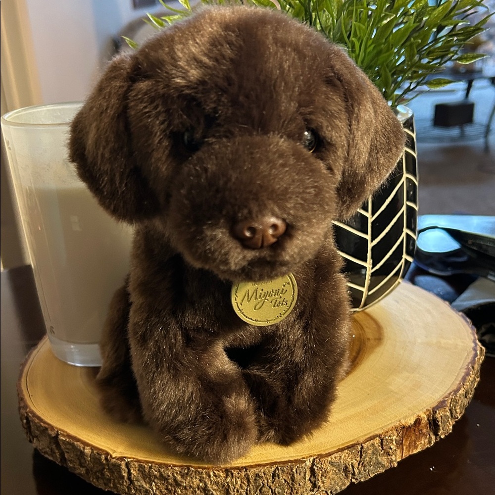 Miyoni Tots By‎ Aurora Plush Chocolate Lab Puppy 8" Stuffed Animal